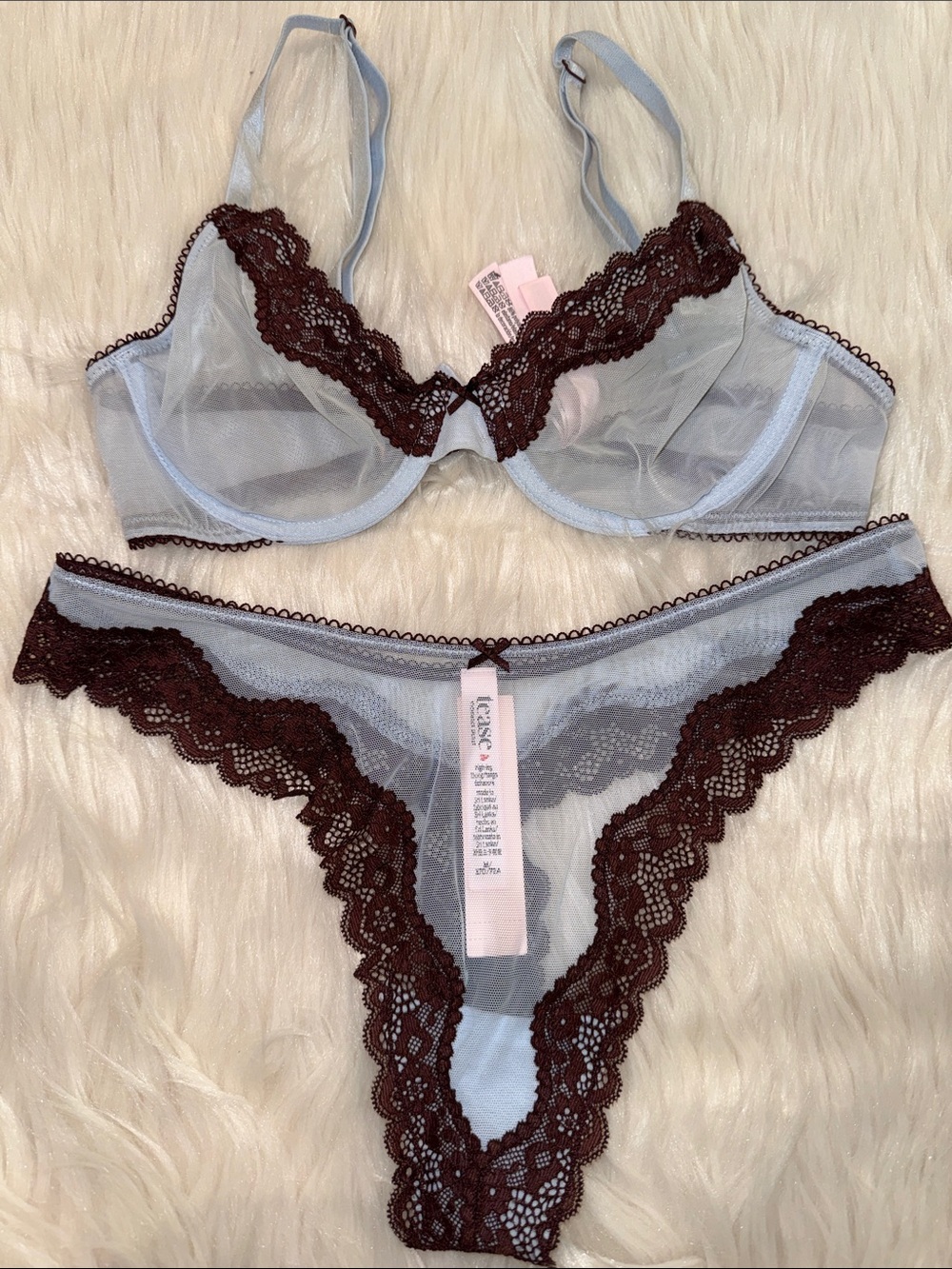 VICTORIA'S SECRET Tease Mesh Lace Bra & Thong Set Sheer Blue Brown 34B Med NWT